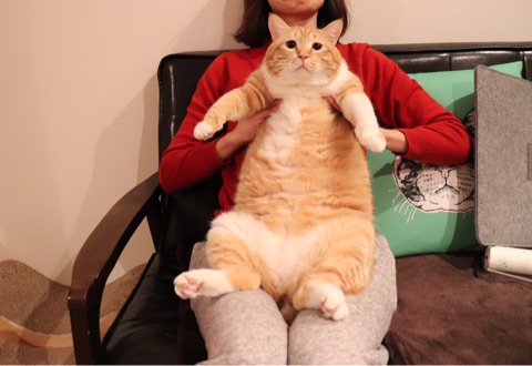 {9358040B-F201-426A-9962-0FC05C449CEA}