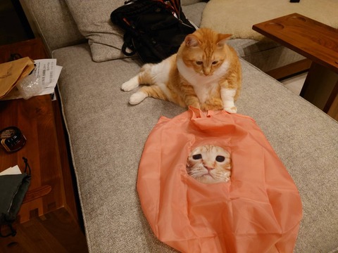 59F5B578-8D45-4596-8731-1789D9AFB4D3