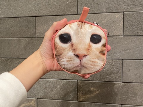 C7836685-6047-445B-9C15-3D678644AF7D