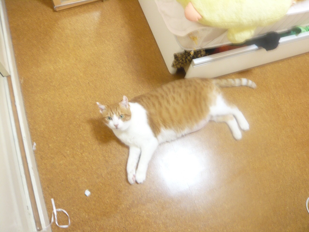 {3570A315-26E7-4966-80B1-BAA07B7CCDCB}