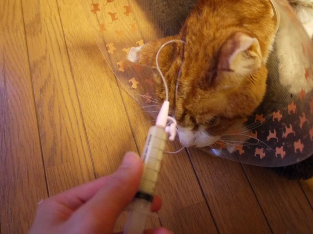 {18E45739-5563-4586-BE01-6BAAE2E1B1B0}