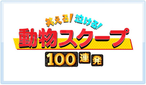 43B259D3-B82B-4469-904D-EBD239B66AF2
