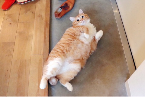 {AD63C8B4-6DA1-497E-A184-994813F6FA54}