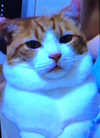 {9476DDCE-A518-4D52-A6C8-C53ABBBC027D}