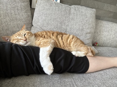 CF7C59E6-AB50-4B60-B4C7-45639A57E03E