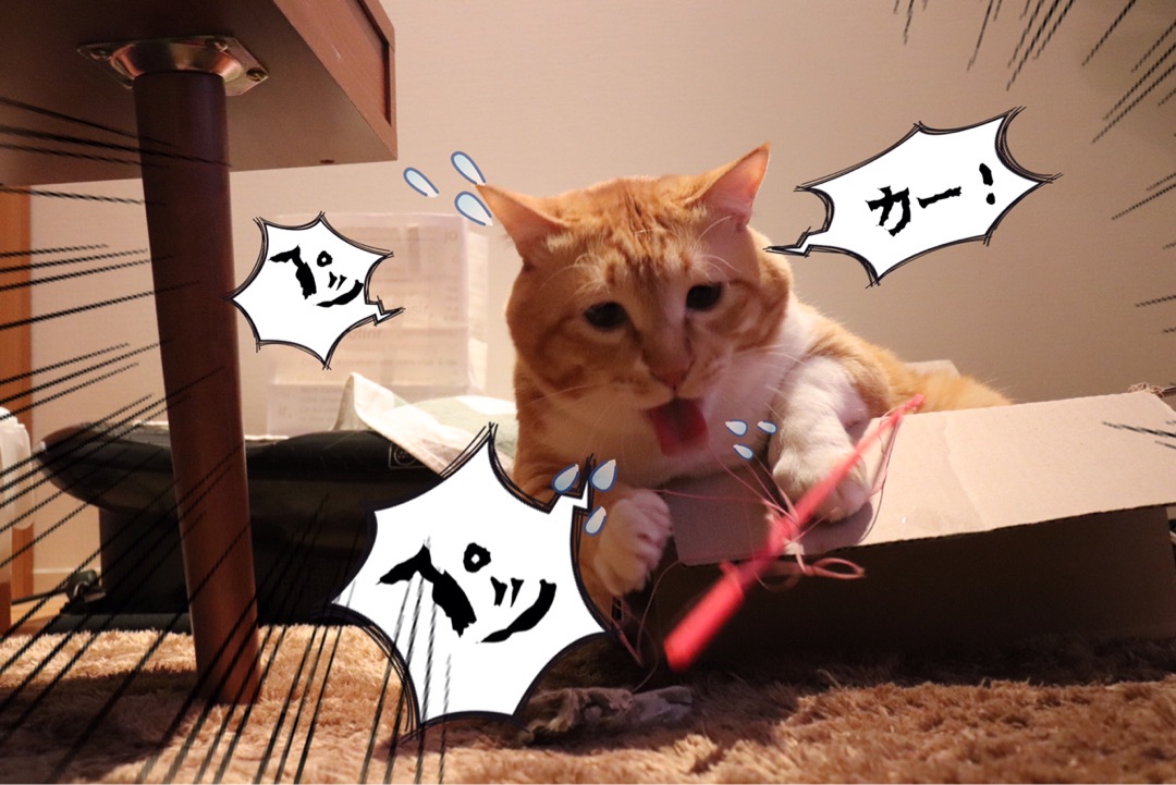 {A6618C4D-66BB-4582-87BB-269D7599AB44}