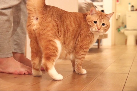 {24B15EEC-797A-403B-9356-FAAEA56839CD}