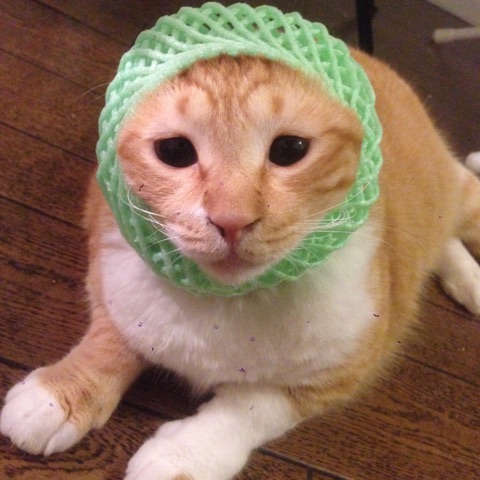 {ADB791DC-E5EF-4EBF-B895-9B66D58C5D70}