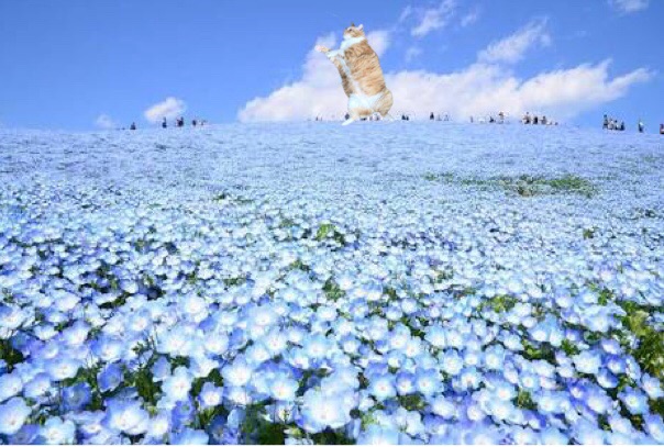 {87B81B67-A0FE-40F4-BDD6-A7462B74A73F}