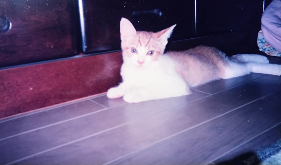 {7BBCD6E6-CD35-4ACD-82E6-0361B064BC4F}