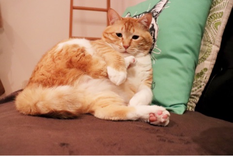 {6AA93C35-2148-494B-A476-0877929A9C0C}