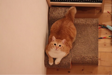 {2235315D-C616-45B1-8748-D520477946C6}