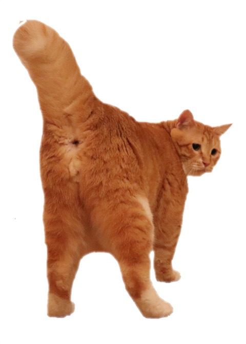 {94A379C4-F956-48E6-90B1-B8F00F37CA4C}