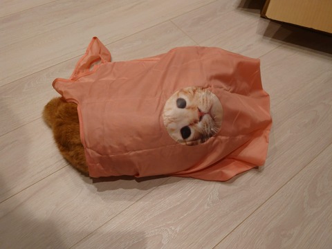 BFCA94B7-D548-4621-AA64-B1C5A4CAA1F9