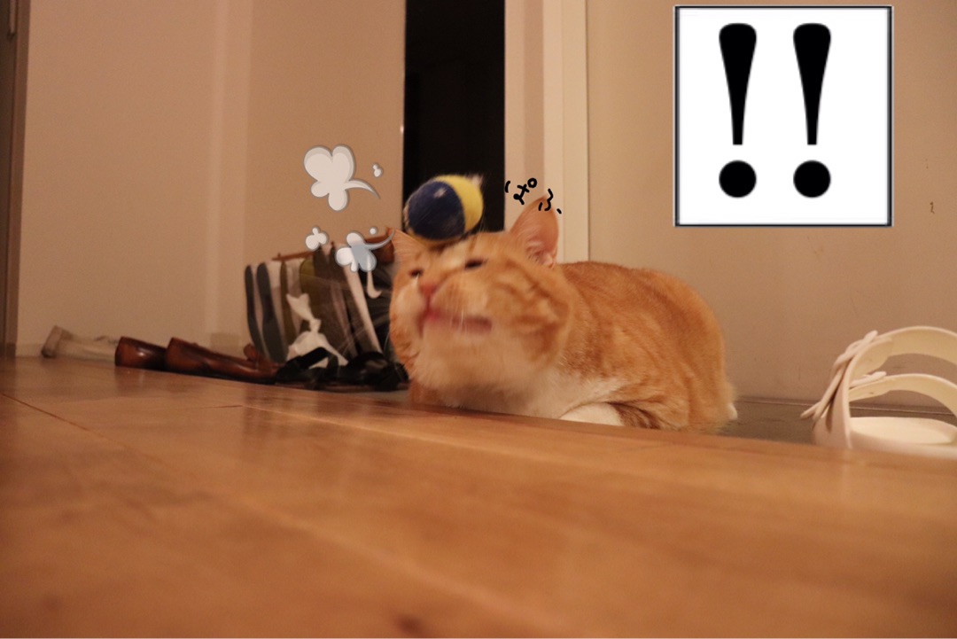 {61FF69AD-5C9B-4ABA-8384-5DD3791EA3D1}