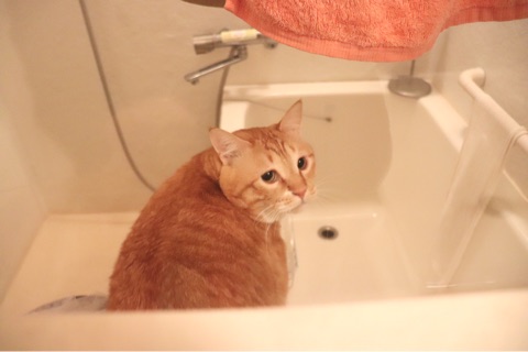 {32E3D2CE-32A7-4762-A280-A28400A0C184}