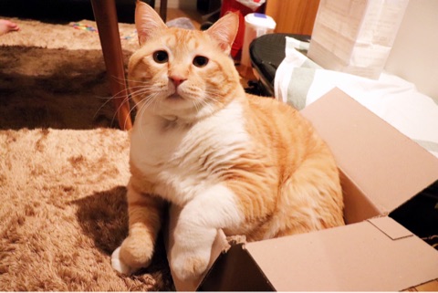 {11837027-0102-46E1-B727-A121798806C6}