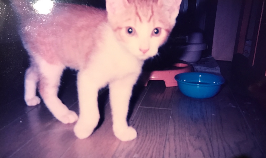 {27829CEF-F5C5-4EE9-A450-24D9BC8E05AD}