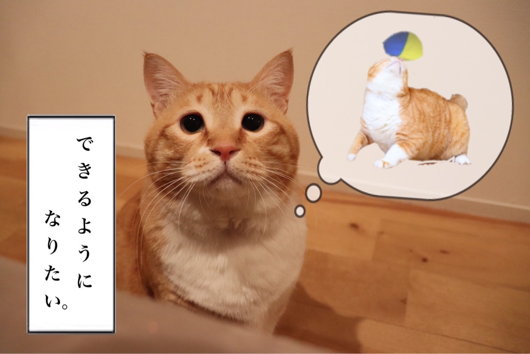 {37349C51-0AD7-47C8-A6E1-161412DAA351}