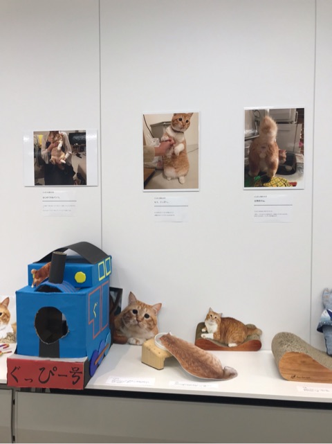 {8A7E48F9-F1F8-40ED-B09B-1CDC92FD8AAE}