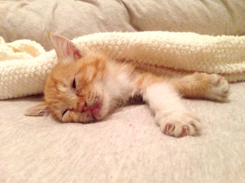 {A5F5DB3F-8776-4C48-8344-D424D27472E3}