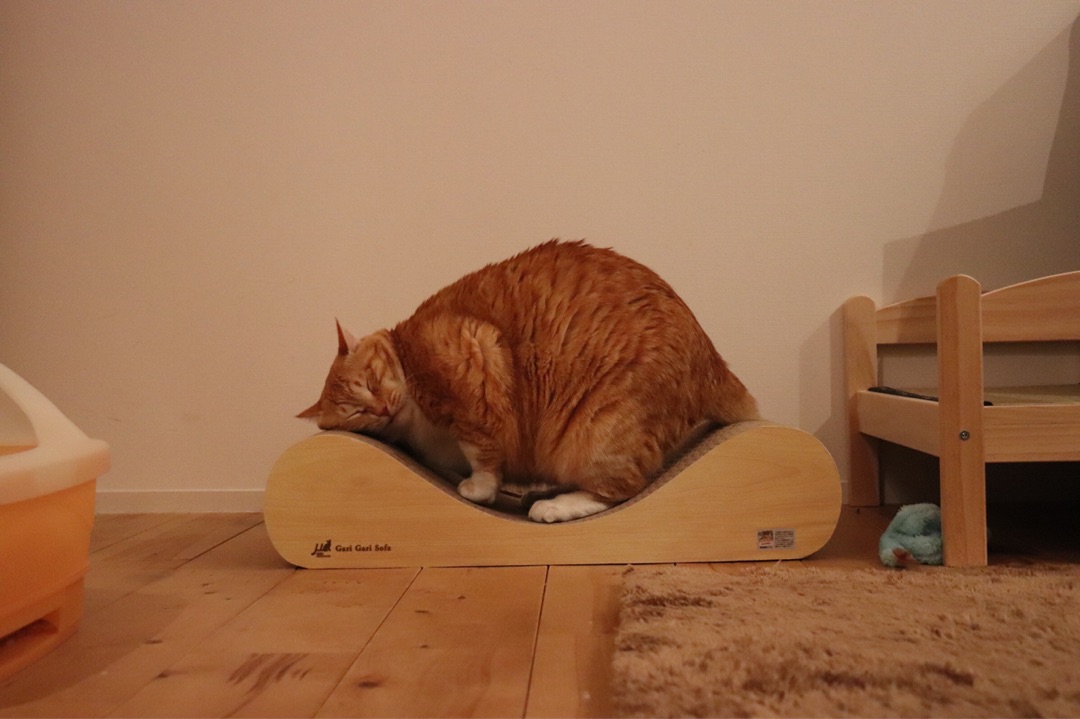 {2CD0777E-91FE-4C43-BFE3-532492BB9B18}