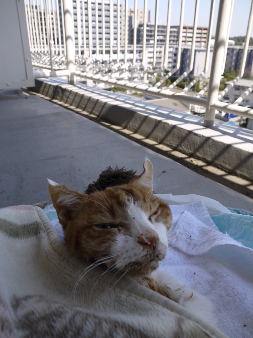 {F819CE49-D348-4B80-87DD-5471C71938F6}