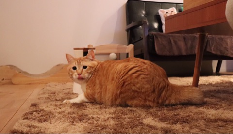 {BCB22296-6D5F-4AE4-A097-6D3E1A32F1EB}