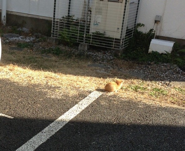 {89C0D971-058C-4D8E-B95B-6D492AFF8450}