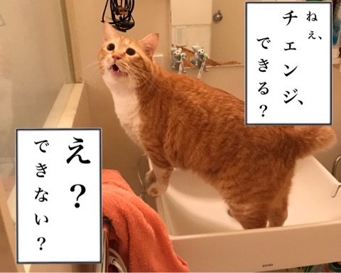 {7F9C52AC-C060-4103-B0FC-B536424BE246}