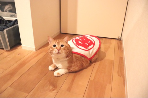 {35B35ADC-8046-44EC-BC12-2A8785A93FD5}