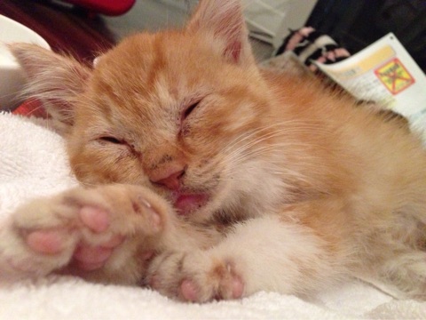 {90B42D0A-0AFF-446A-BFBB-B748AC9BD505}