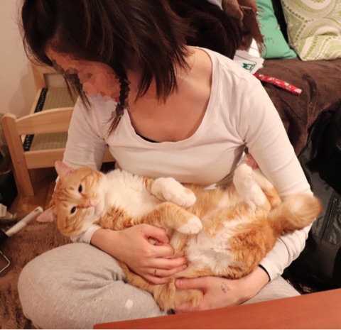 {3DF83C3F-D253-4819-A1B4-4DDCECE0D458}