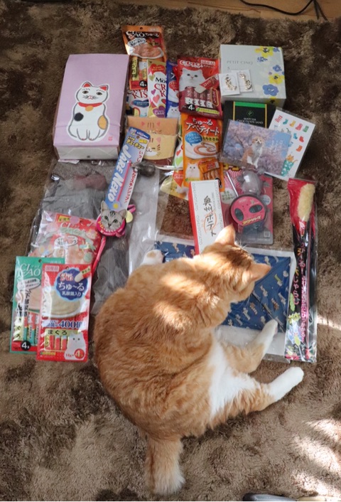 {132DA28A-900A-4510-8BF0-F65C76554719}