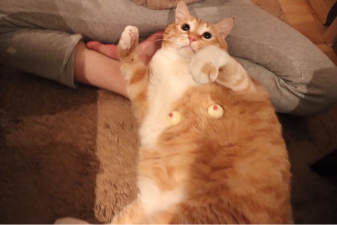 {A5F55DD9-F1EB-4698-9582-DBC075FEAF87}