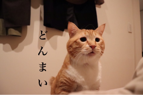 {8F80CD4C-9B50-45F3-9C57-51849FCB1CD3}