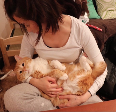 {650F7684-E61F-41FC-B5DE-7EE86C701D76}