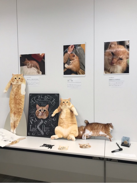 {58DE5E52-6549-4D94-9067-0062074AA500}