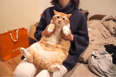 {AD699FD8-B386-443B-9118-ECA6A7CC59F4}