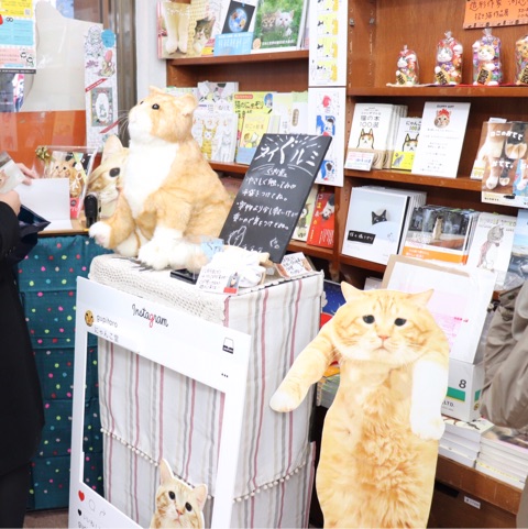 {45AC6C86-75C9-440B-A7FE-610C5F6F3BF0}