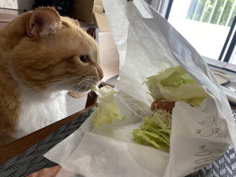 307E7DD9-3341-4918-86AA-BDB3229BC7DD