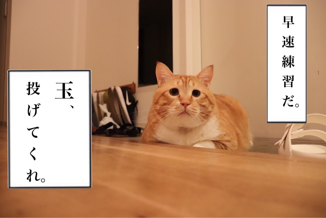 {66185501-722A-4064-85FD-AF37184FAE6C}