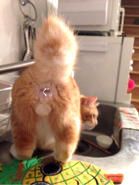 {FEE9C633-569C-48A6-B23C-D9D813FD1308}