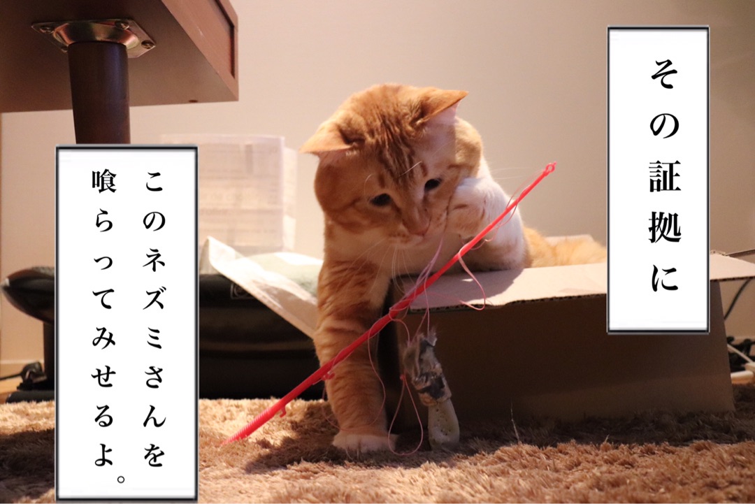 {D611DAF2-275B-49C5-8E98-E18C9BB99180}