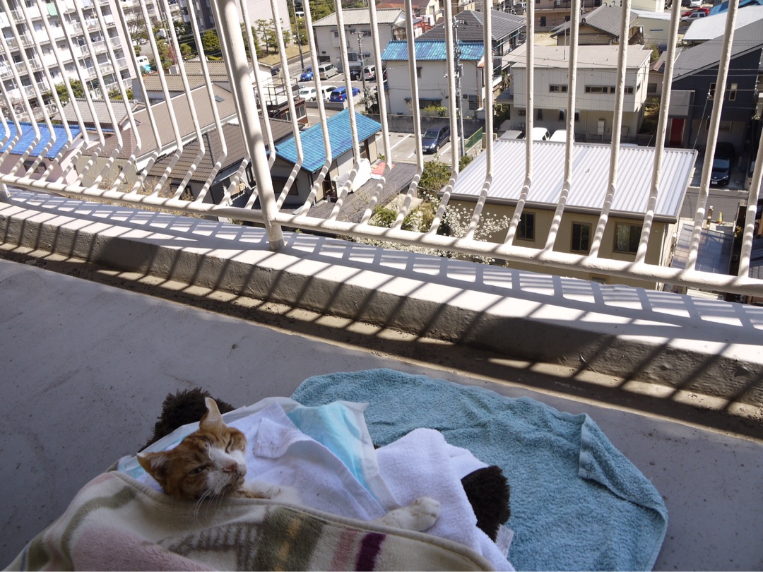 {2745D69D-6FC1-435C-9029-C01E30D73D93}