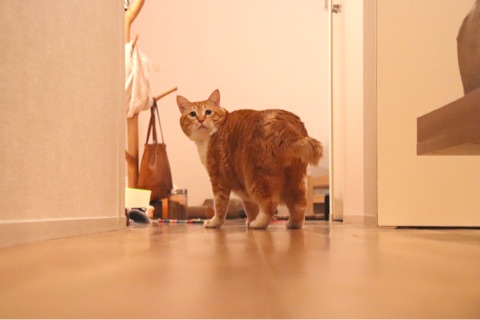 {2823CA9C-69C7-41FB-845F-1B4538638039}