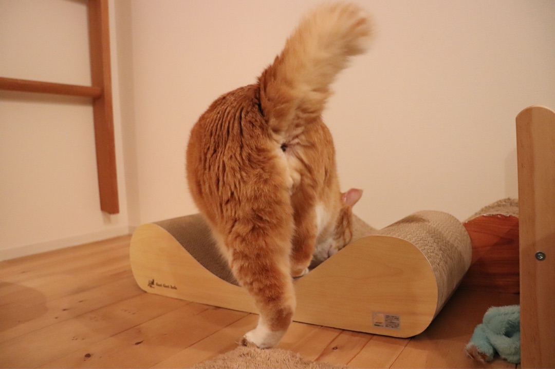 {EEF3030E-AA3A-4F33-BE06-72661E911C96}