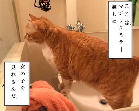 {5859AB62-0BE8-437C-9A06-2A82DA40E504}