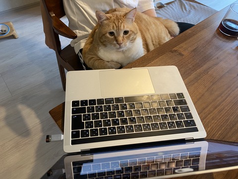 7E90DA2F-9319-4592-BEF6-CD3B82E16C61