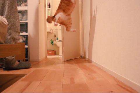 {14FAADB9-F128-48C8-9768-9556CD0B9163}